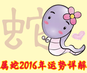 属蛇人2016年运势详解
