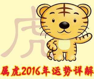 属虎人2016年运势详解