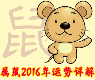 属鼠人2016年运势详解