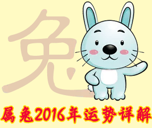 属兔人2016年运势详解