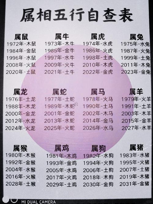2007年属猪男2026年能否得功名
